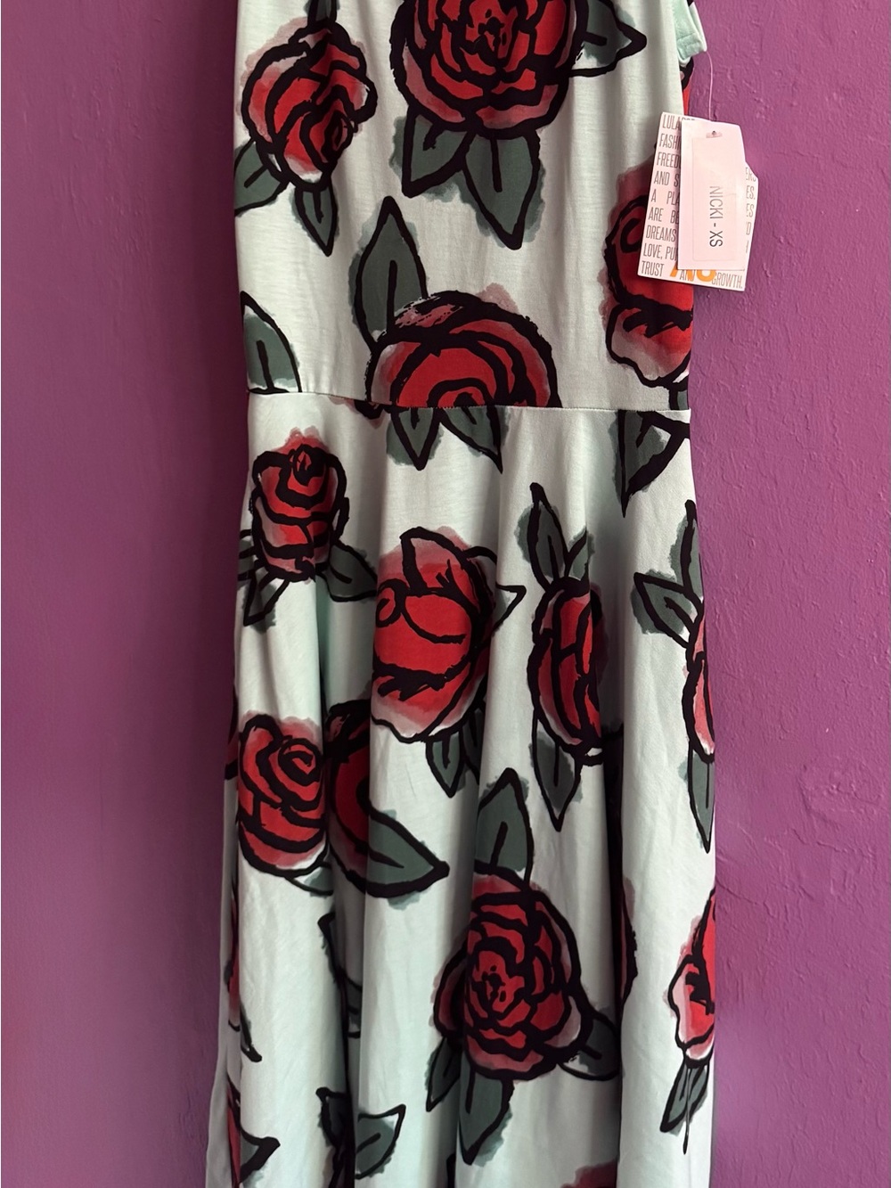 LuLaRoe Mint Green Dress with Red Rose Print